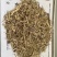 大量供应优质干稻草干谷草牛羊稻草饲料长年有货