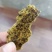 厂家直销棉饼，脂肪高，优质好，欢迎各位老板前来看货。