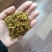 厂家直销棉饼，脂肪高，优质好，欢迎各位老板前来看货。