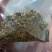 厂家直销棉饼，脂肪高，优质好，欢迎各位老板前来看货。