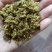 厂家直销棉饼，脂肪高，优质好，欢迎各位老板前来看货。