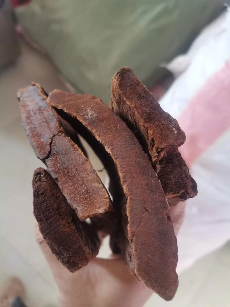 卡宾达树皮正宗非洲安哥拉树皮加厚款卡兵达树皮