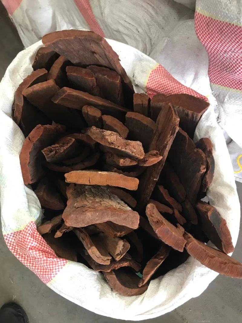 卡宾达树皮正宗非洲安哥拉树皮加厚款卡兵达树皮