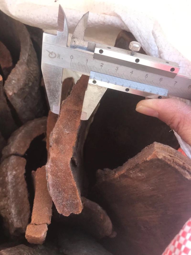 卡宾达树皮正宗非洲安哥拉树皮加厚款卡兵达树皮