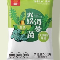 新品推荐海带苗，很好吃的一款食材