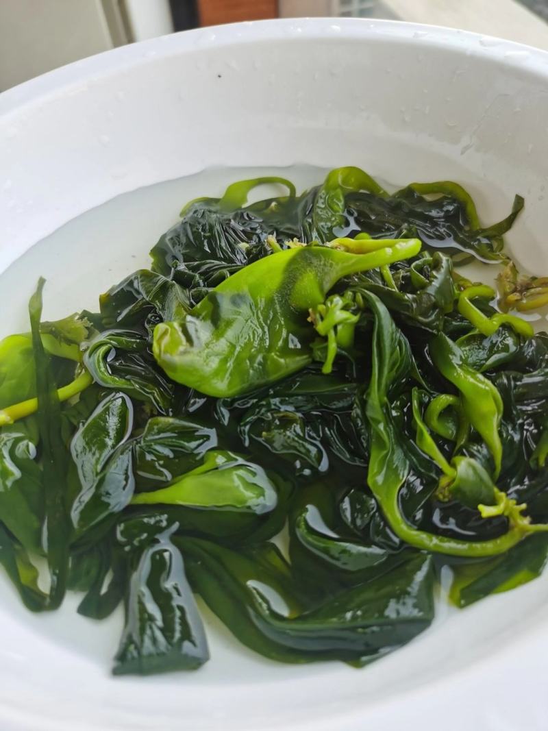 新品推荐海带苗，很好吃的一款食材