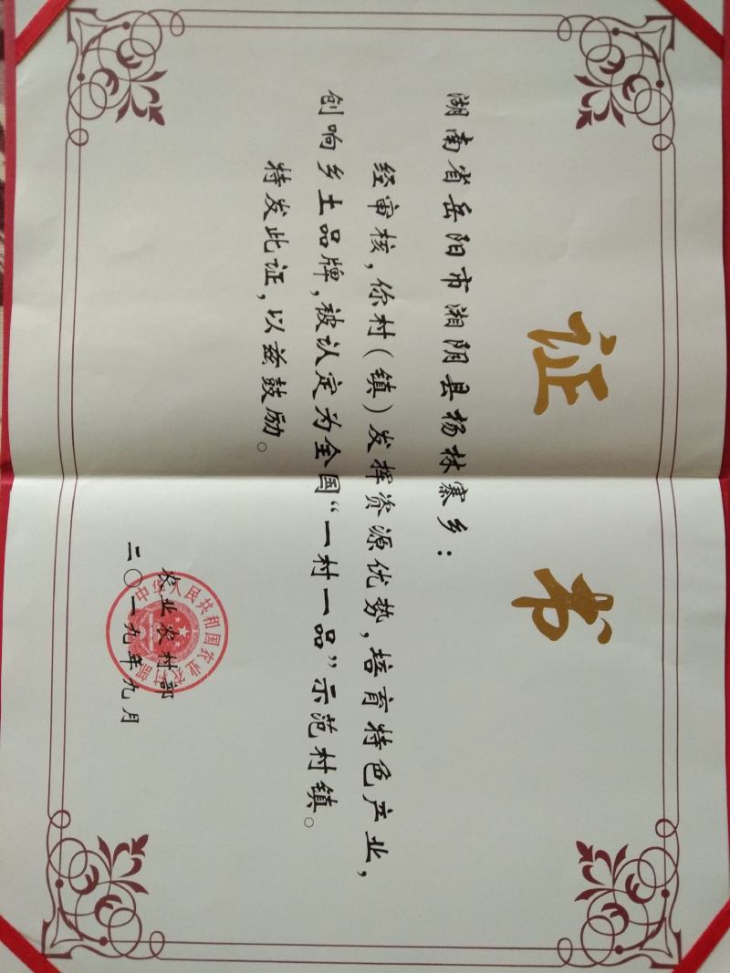 “杨林洞庭鲜”袖珍菇/姬菇/小平菇/脆嫩鲜香/基地直供