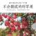 水果红富士一级水晶香脆苹果红星新品苹果丹香苹果