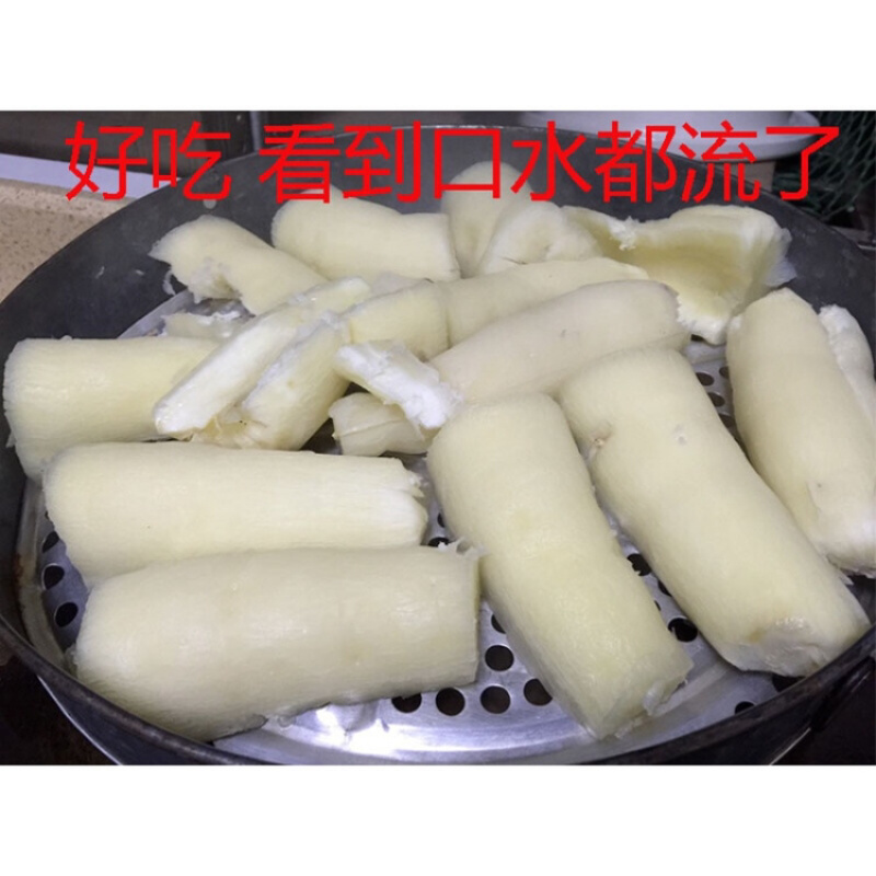 木薯种苗面包木薯黄肉木薯苗南北方种植易存活
