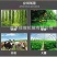 推车便携式消毒机电动打药机喷雾器厂家四轮自动回管弥雾机