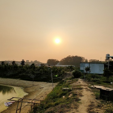 加州鲈鱼苗鲈鱼水花鲈鱼苗鱼苗批发周边可送货