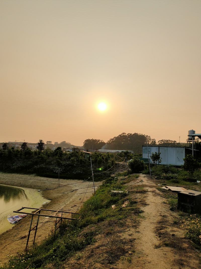 加州鲈鱼苗鲈鱼水花鲈鱼苗鱼苗批发周边可送货