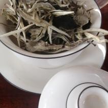 月光白云南白茶古树银针景谷白茶高海拔茶叶，茶农自产自销