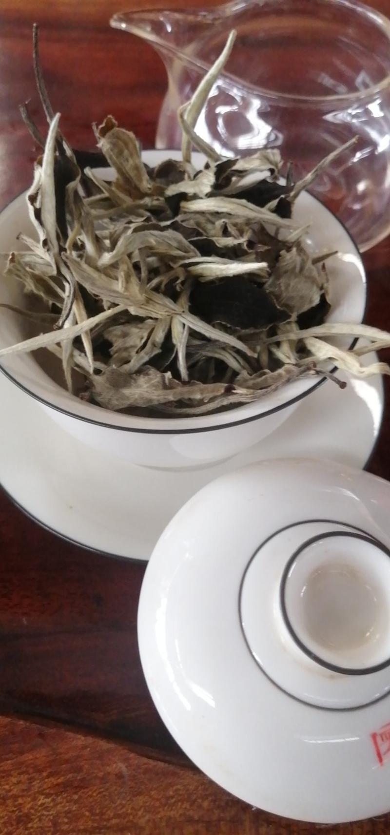 月光白云南白茶古树银针景谷白茶高海拔茶叶，茶农自产自销