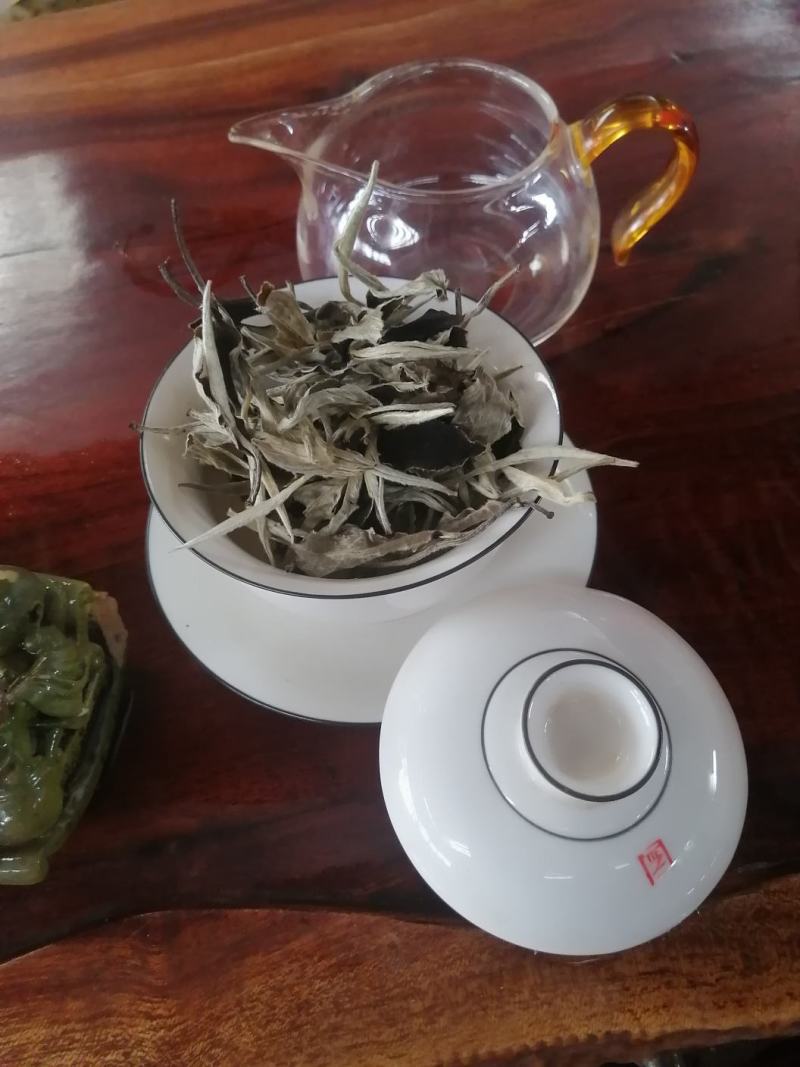 月光白云南白茶古树银针景谷白茶高海拔茶叶，茶农自产自销