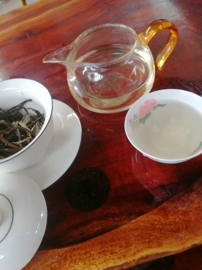 月光白云南白茶古树银针景谷白茶高海拔茶叶，茶农自产自销