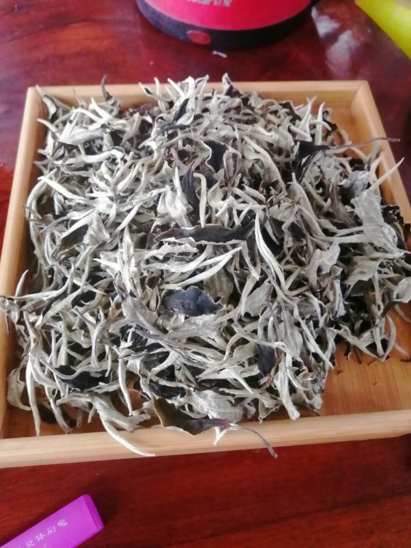 月光白云南白茶古树银针景谷白茶高海拔茶叶，茶农自产自销