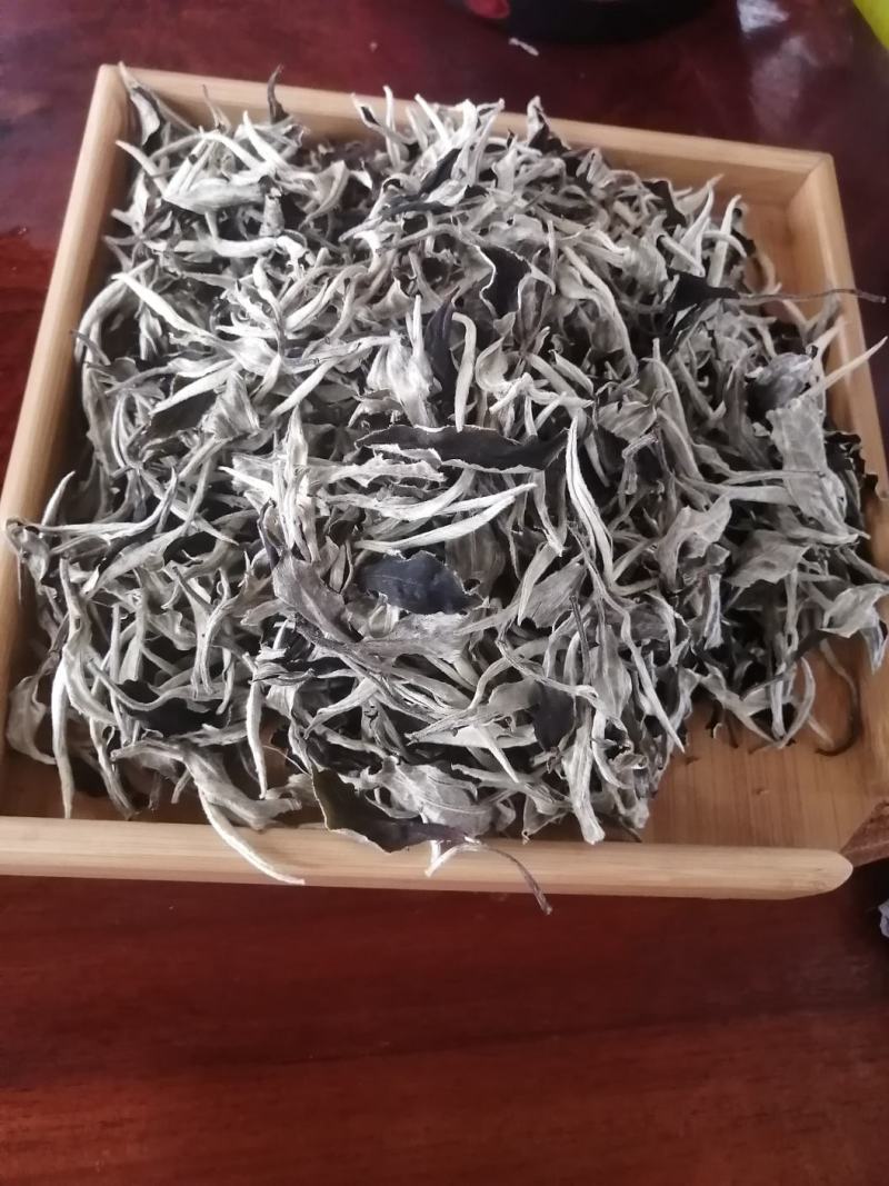 月光白云南白茶古树银针景谷白茶高海拔茶叶，茶农自产自销
