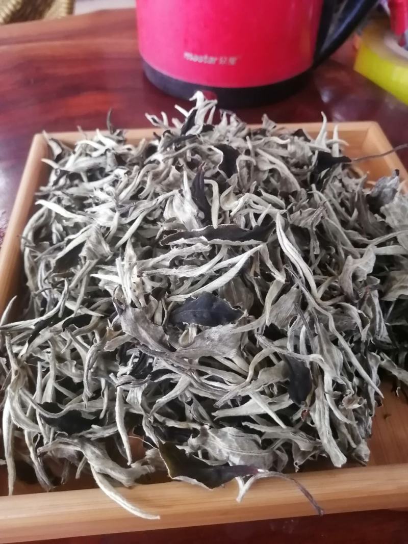 月光白云南白茶古树银针景谷白茶高海拔茶叶，茶农自产自销