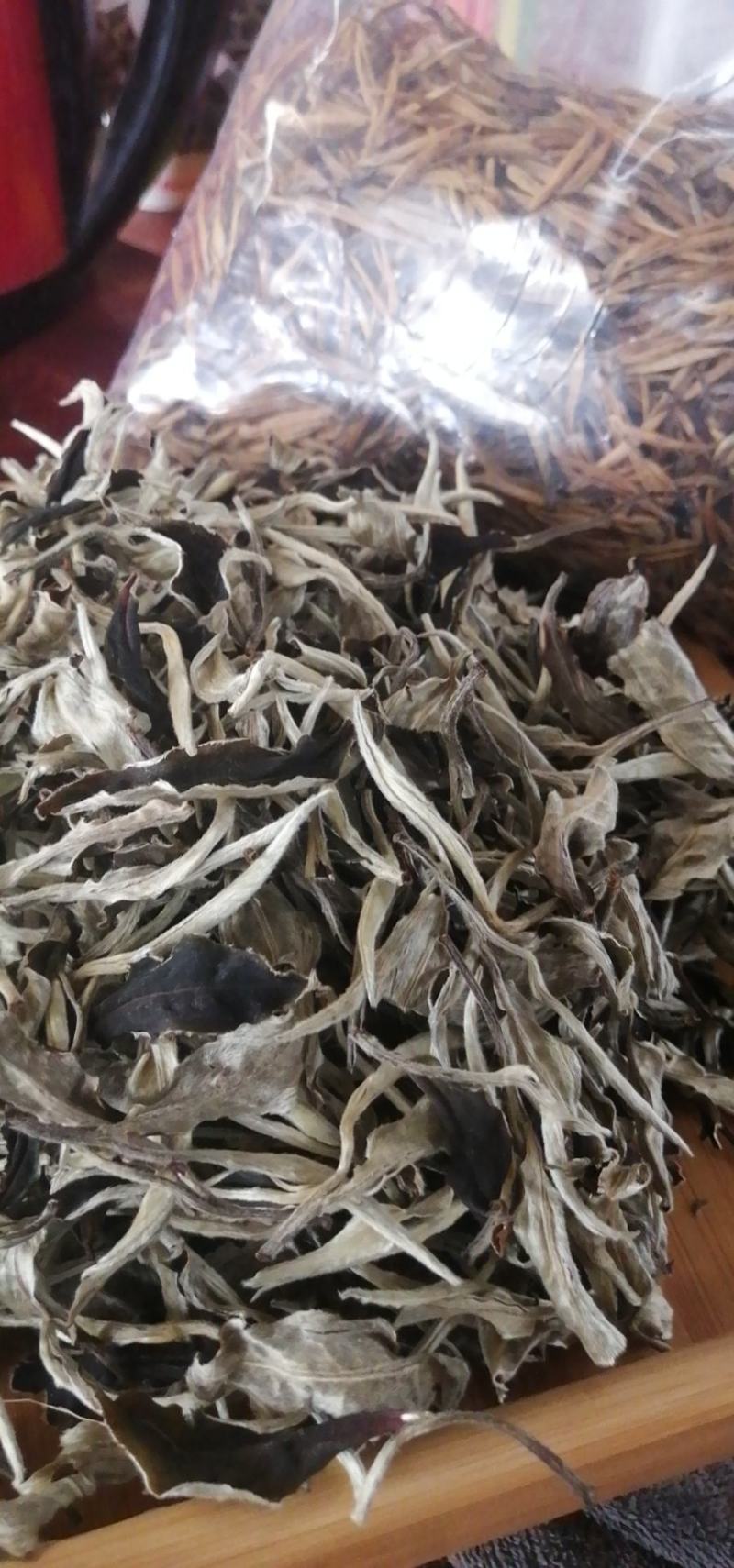 月光白云南白茶古树银针景谷白茶高海拔茶叶，茶农自产自销