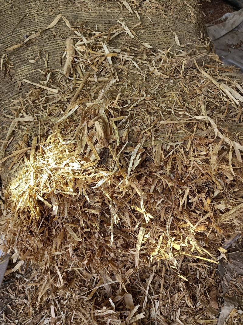 玉米秸秆草，厂家直销，量大从优，品质上乘，欢迎选购。