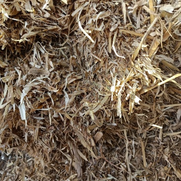 玉米秸秆草，厂家直销，量大从优，品质上乘，欢迎选购。