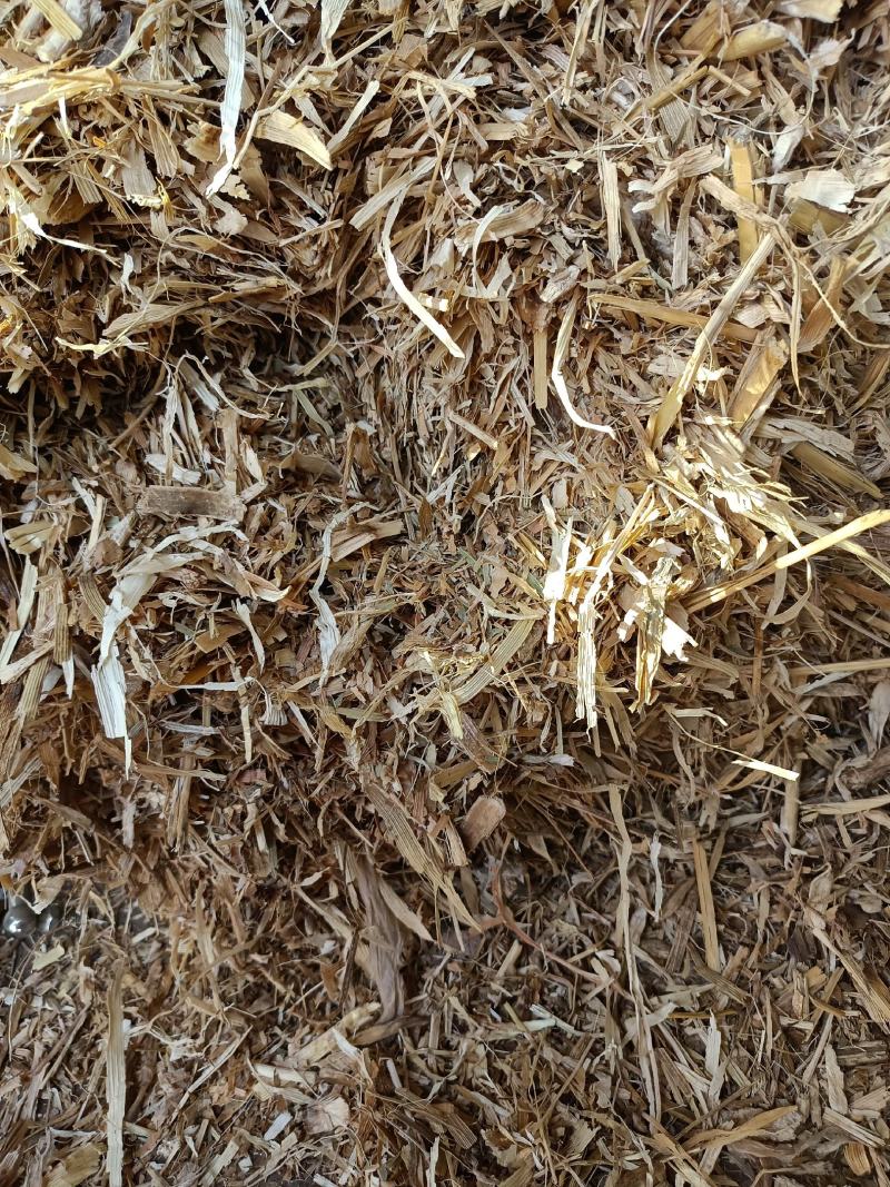 玉米秸秆草，厂家直销，量大从优，品质上乘，欢迎选购。