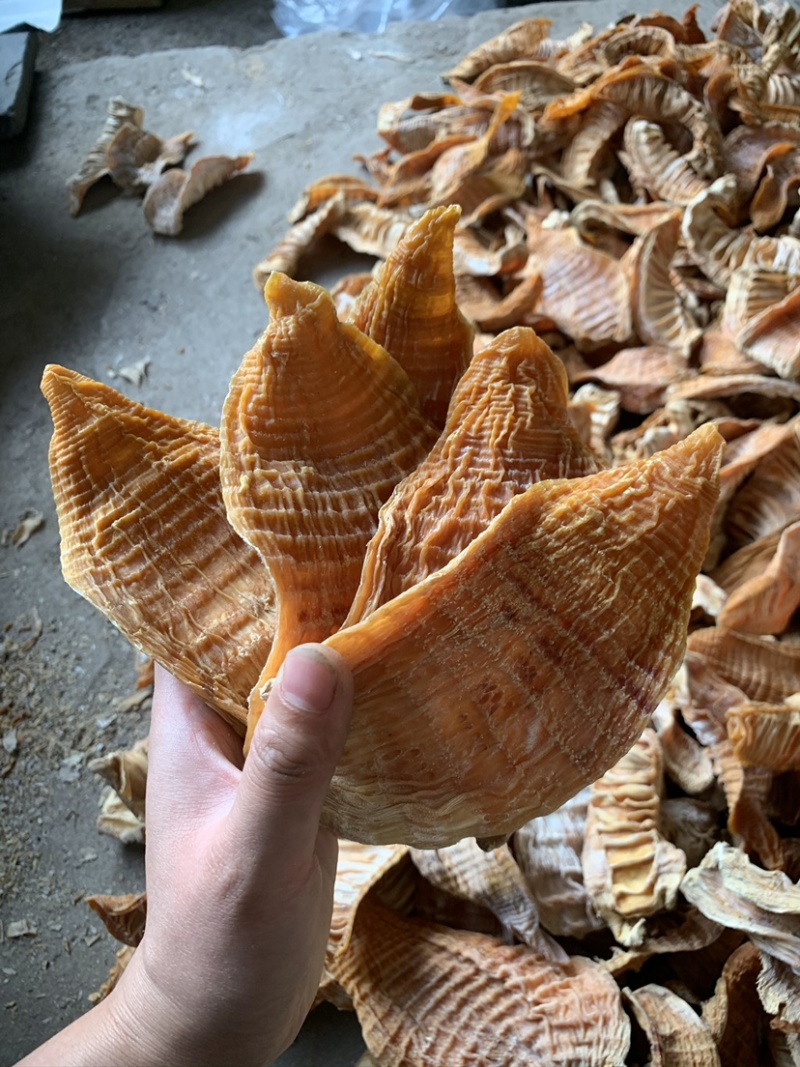新货江西笋干笋尖玉兰片笋片毛竹笋干中片笋片