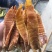新货江西笋干笋尖玉兰片笋片毛竹笋干中片笋片