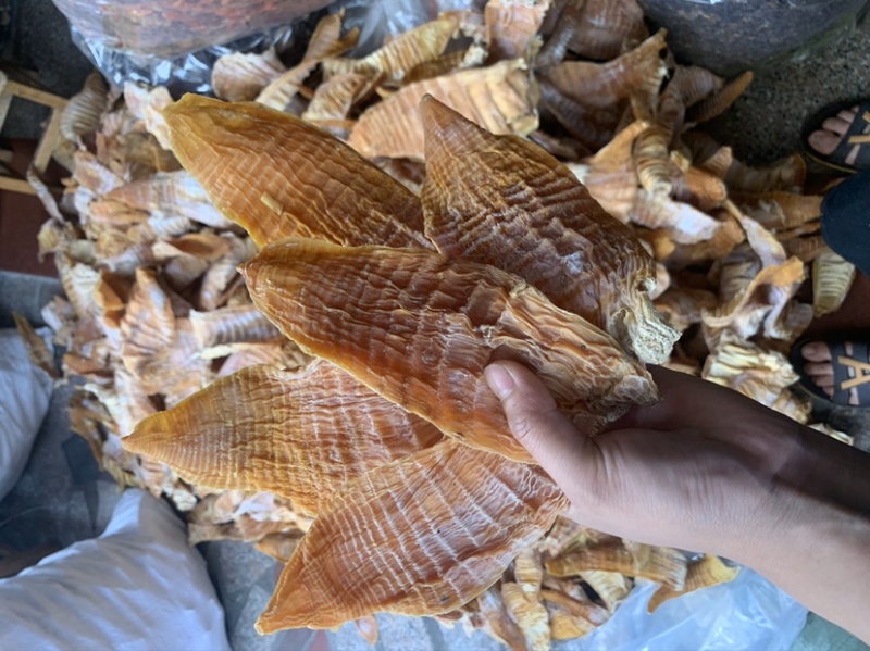 新货江西笋干笋尖玉兰片笋片毛竹笋干中片笋片
