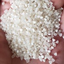 供应优质大碎米，粥米