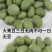 大青豆农家大青豆食用大青豆大粒大青豆5斤装包邮