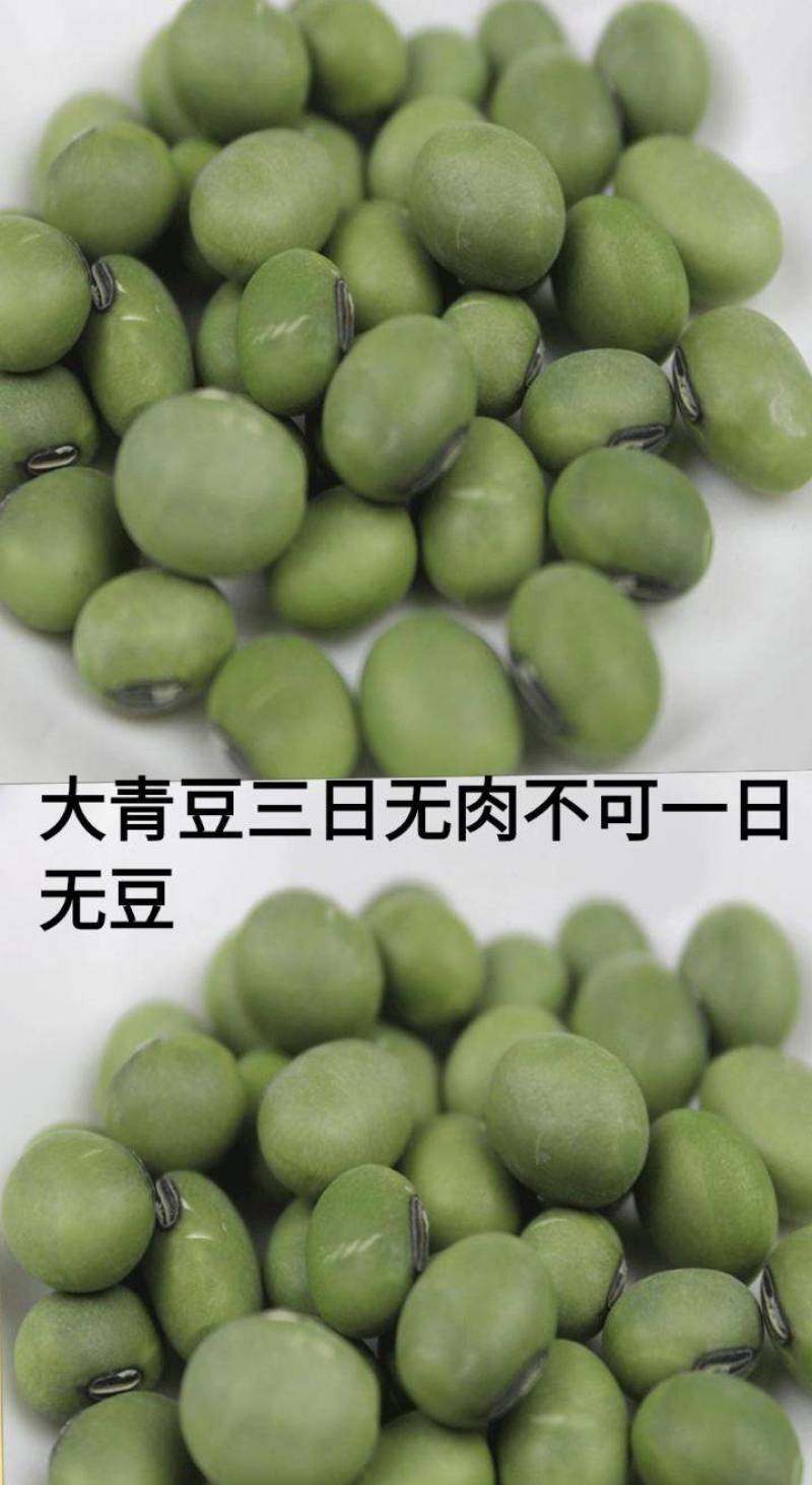 大青豆农家大青豆食用大青豆大粒大青豆5斤装包邮