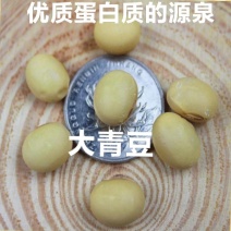 大青豆农家大青豆食用大青豆大粒大青豆5斤装包邮