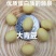 大青豆农家大青豆食用大青豆大粒大青豆5斤装包邮