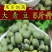 大青豆农家大青豆食用大青豆大粒大青豆5斤装包邮