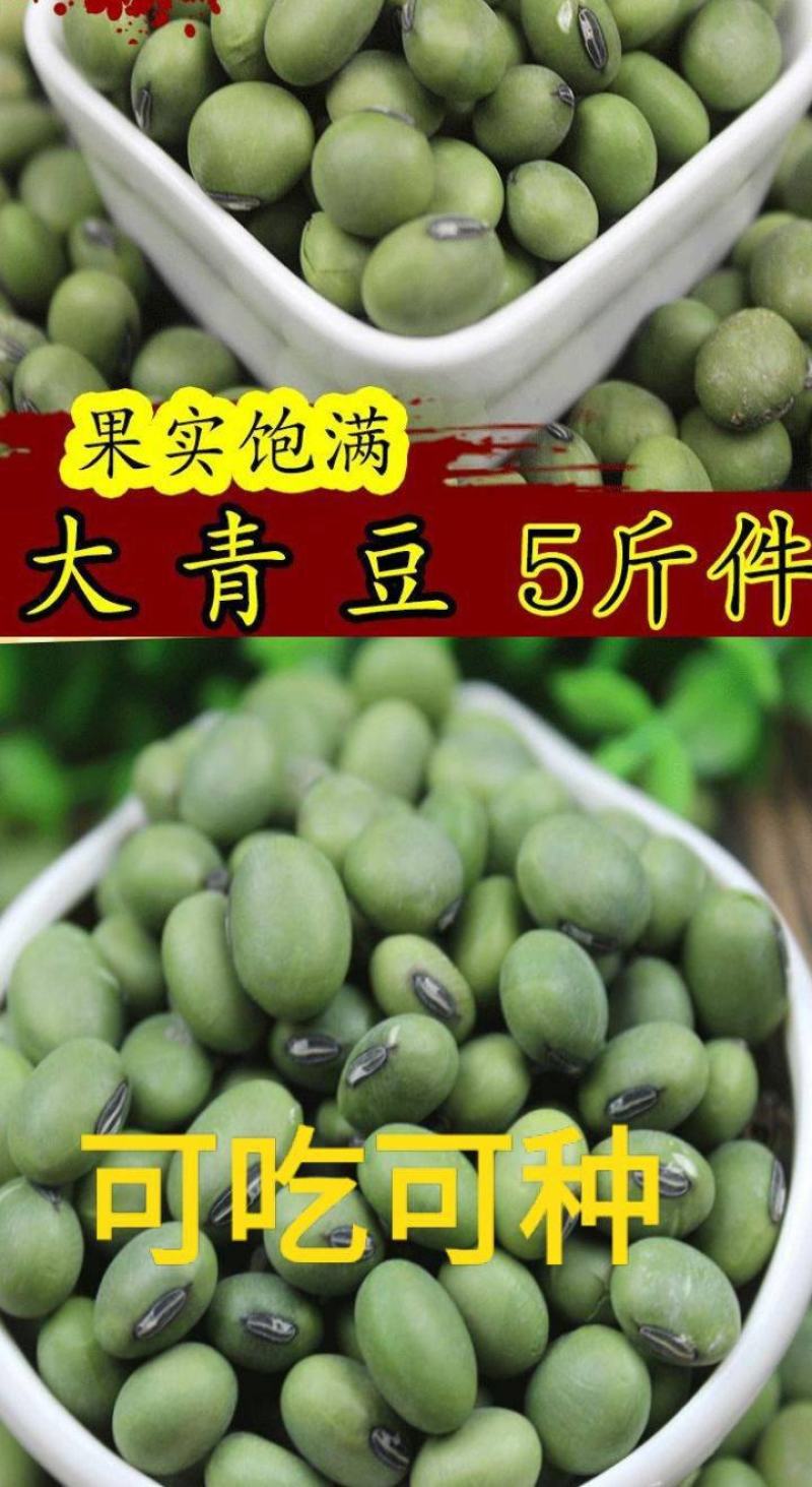 大青豆农家大青豆食用大青豆大粒大青豆5斤装包邮