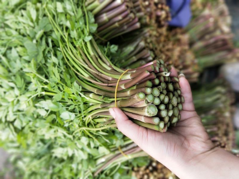 山珍美味野芹菜，腊肉必配