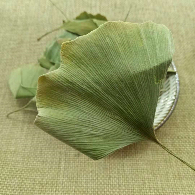 银杏叶自然晾干药用饮片中药专营
