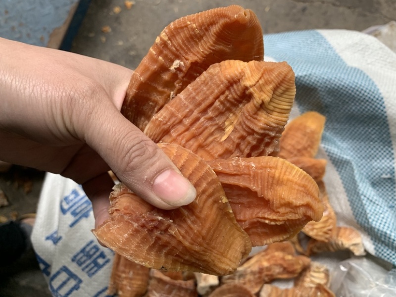 笋尖玉兰片笋干黄泥毛竹笋干赣南优质笋尖短片冬笋片
