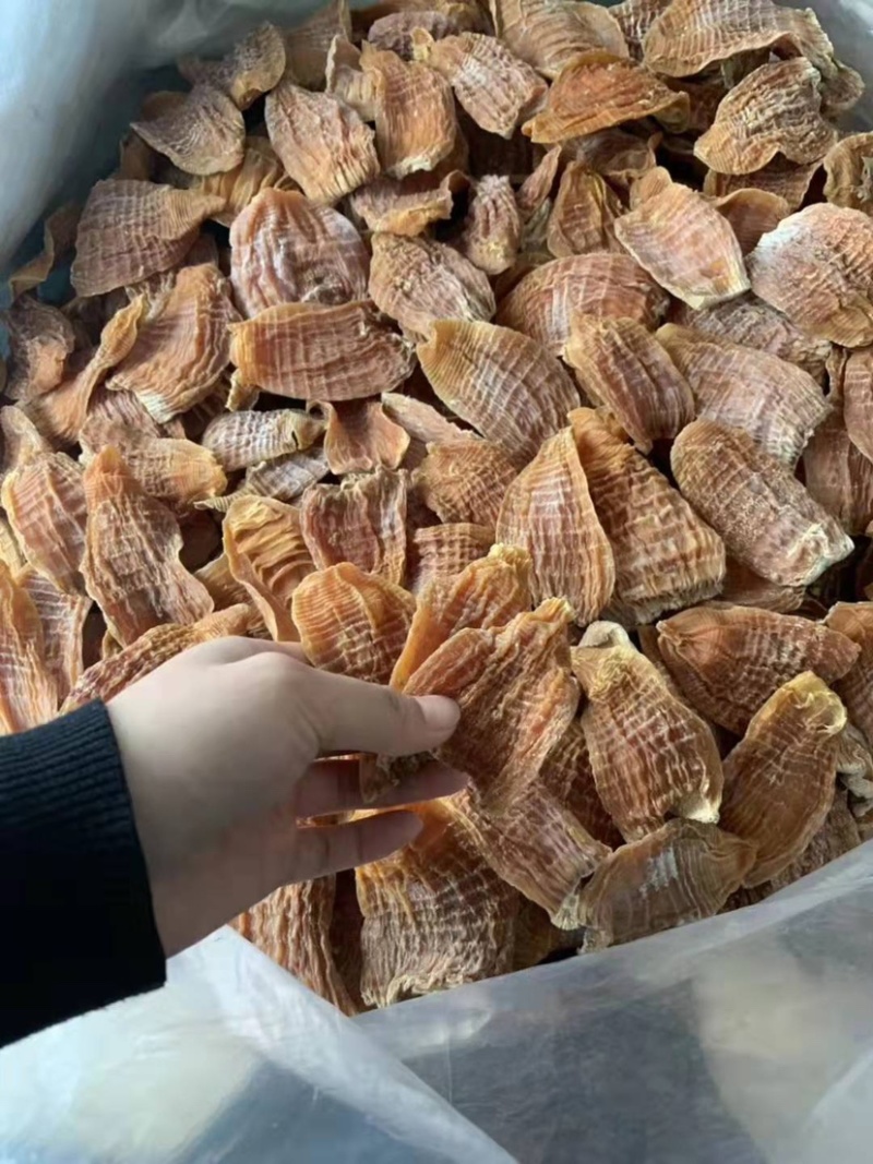笋尖玉兰片笋干黄泥毛竹笋干赣南优质笋尖短片冬笋片