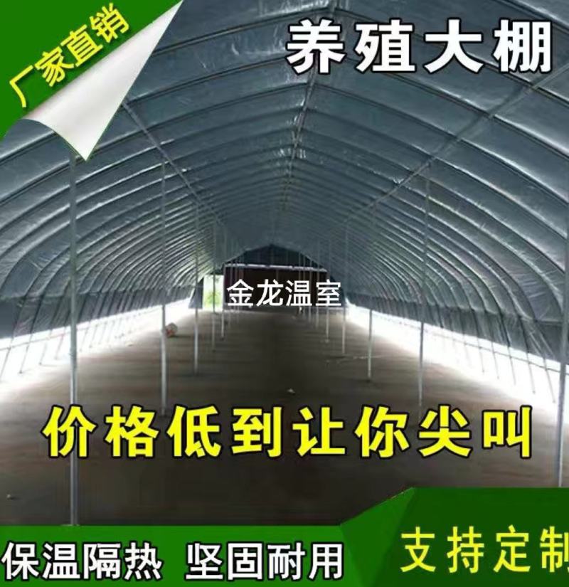 养殖大棚大棚骨架养羊棚养鸡棚养鸭子大棚及大棚配件大棚设计