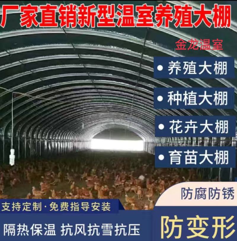 养殖大棚大棚骨架养羊棚养鸡棚养鸭子大棚及大棚配件大棚设计