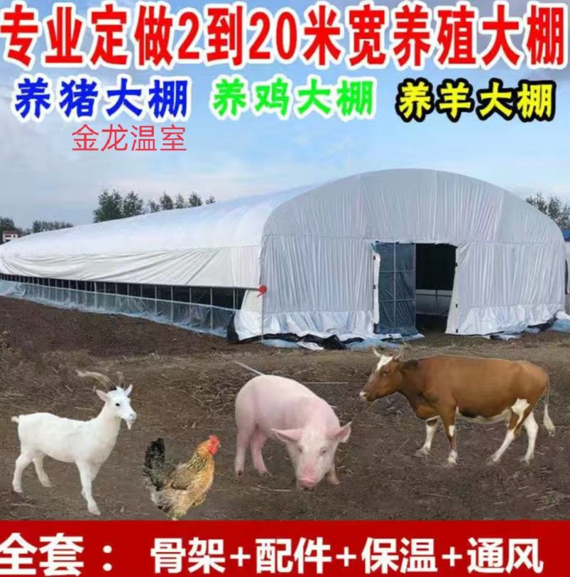 养殖大棚大棚骨架养羊棚养鸡棚养鸭子大棚及大棚配件大棚设计