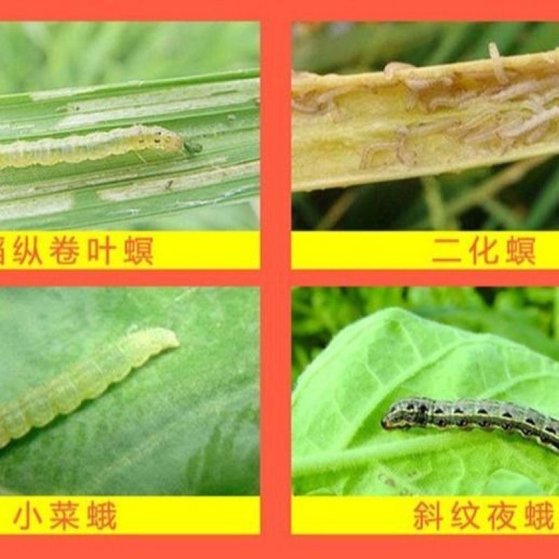 沪联甲维盐虫螨腈虱螨脲组合装草地贪夜蛾菜青虫钻心虫杀虫剂