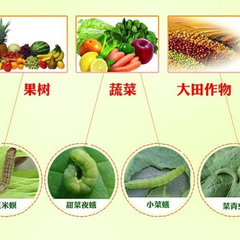 沪联甲维盐虫螨腈虱螨脲组合装草地贪夜蛾菜青虫钻心虫杀虫剂