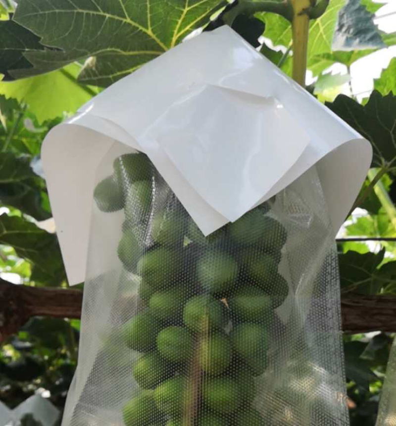 水果套袋，葡萄伞罩阳光芒果葡萄专用PE伞罩无纺布，葡萄袋