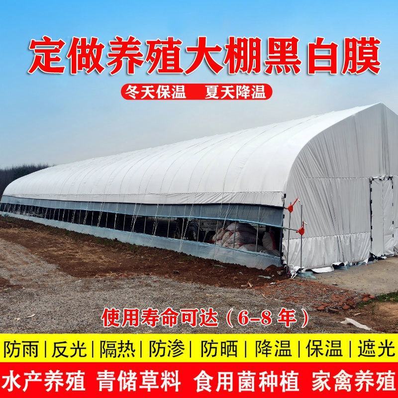 【黑白膜】养殖专用黑白膜利得膜绿白膜防航拍棚膜