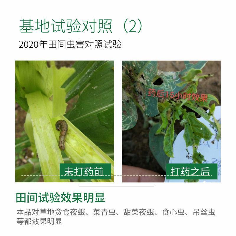 沪联甲维盐虫螨腈虱螨脲组合装草地贪夜蛾菜青虫钻心虫杀虫剂
