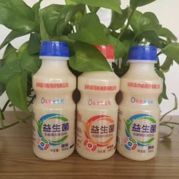 伽冠高蛋白含量乳酸菌饮料，社区团购，超市供货，主流产品